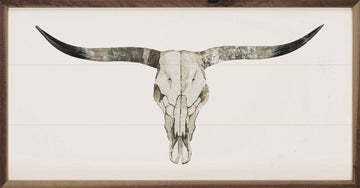 Longhorn Skull